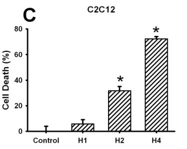 C2C12 graph